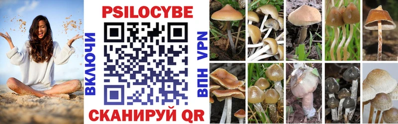 Псилоцибиновые грибы Psilocybine cubensis  кракен как войти  Котовск 