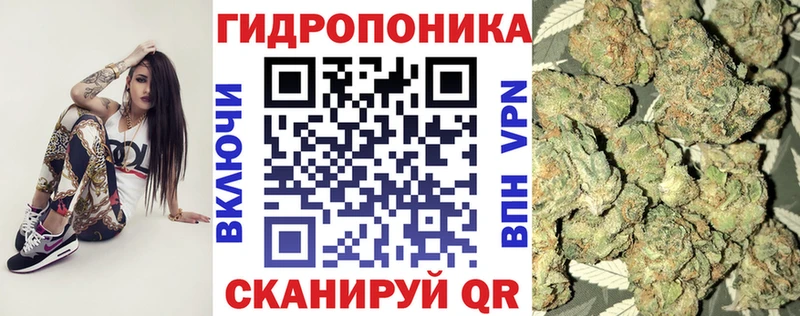 МАРИХУАНА THC 21%  Котовск 